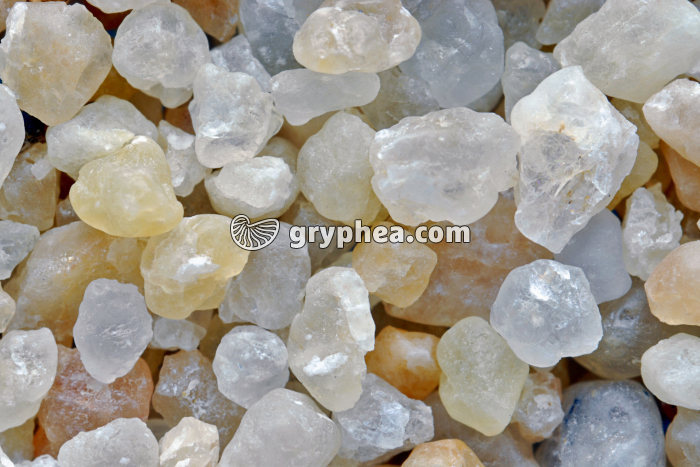 Sable de Loire tamisé x3 - gryphea.org